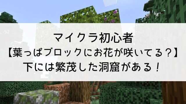 マイクラ初心者｜【葉っぱブロックにお花が咲いてる？】下には繁茂した洞窟がある！ - リサゲーム別館 マイクラ（統合版）勉強中…